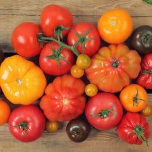tomates anti cancer