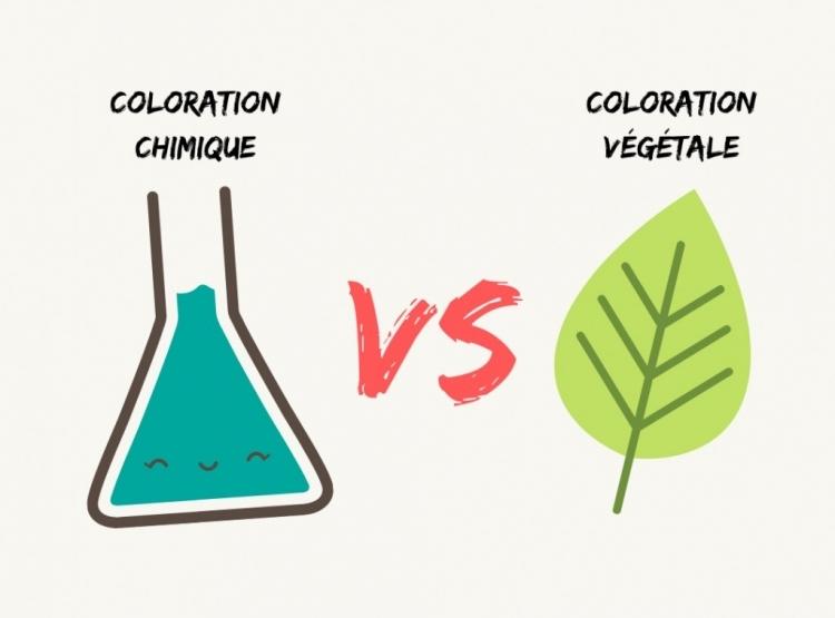 Coloration chimique vs Coloration végétale